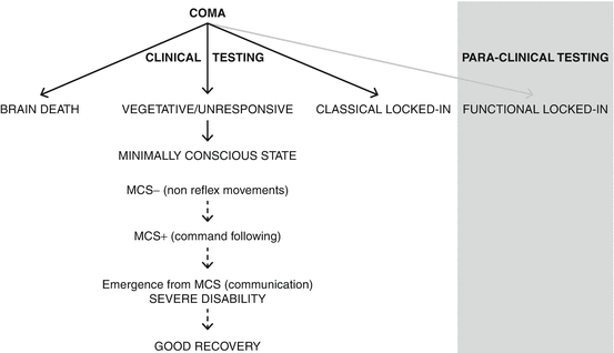 Traumatic Brain Damage Severe Brain Damage Coma And Disorders Of Consciousness Springerlink Traumatic Brain Damage Severe Brain Damage Coma And Disorders Of Consciousness Springerlink