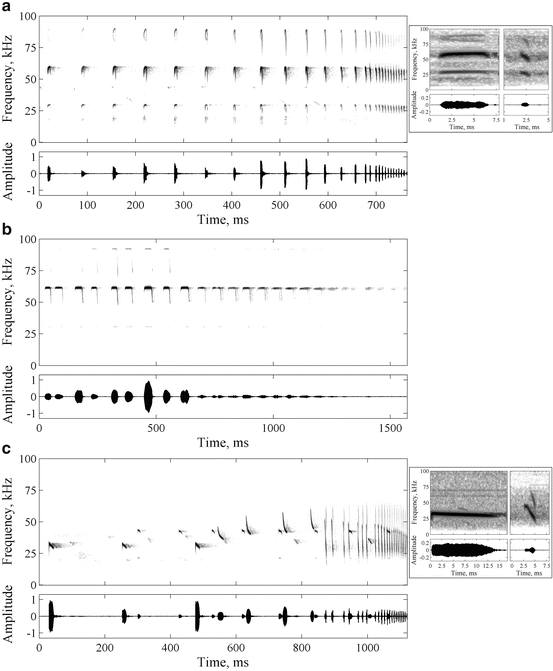 A History Of The Study Of Echolocation Springerlink