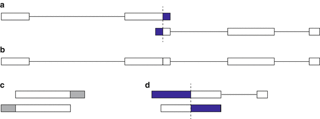 GMAP and GSNAP for Genomic Sequence Alignment: Enhancements to Speed, Accuracy, and 