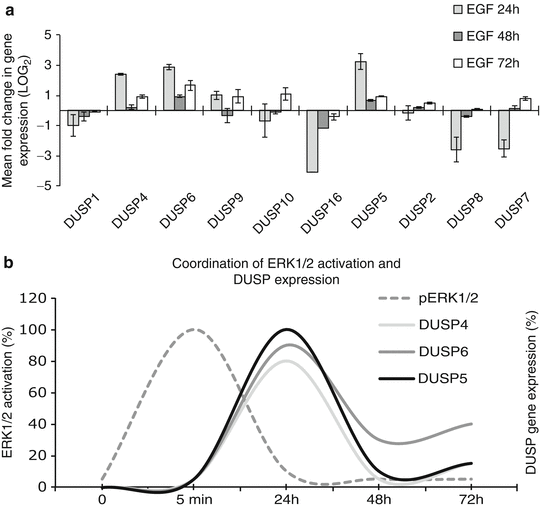 Global Rt Pcr And Rt Qpcr Analysis Of The Mrna Expression Of The Human Ptpome Springerlink