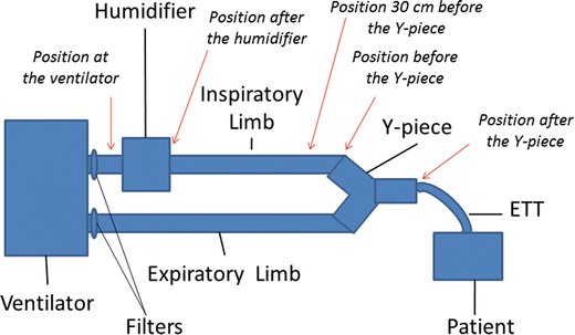 Inhaled Drug Delivery for Children on Long-term Mechanical Ventilation