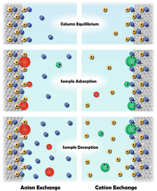 ion exchange chromatography