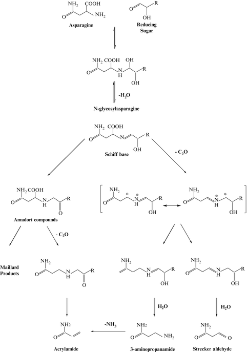 Fig 191 Proposed Mechanism For Acrylamide Formation Fig 191 Proposed Mechanism For Acrylamide Formation
