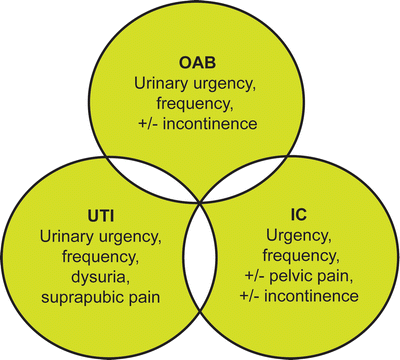 Pdf Chapter 21 Bladder Pain Syndrome Interstitial Cystitis Bps Ic