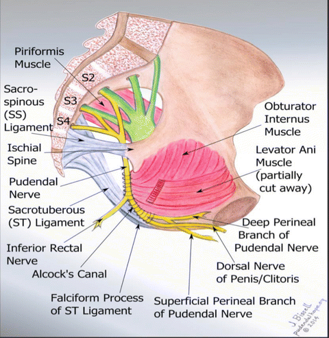 Prostatitis vagy neuralgia, Becsípett idegi prosztatagyulladás. Femorális ideg neuropathia kezelés