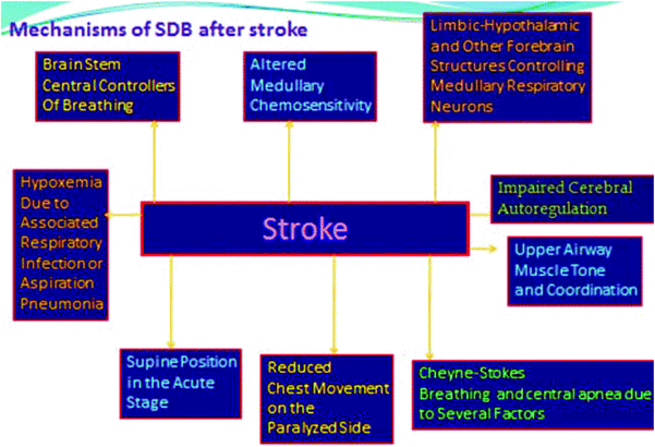 Sleep Breathing And Neurologic Disorders Springerlink