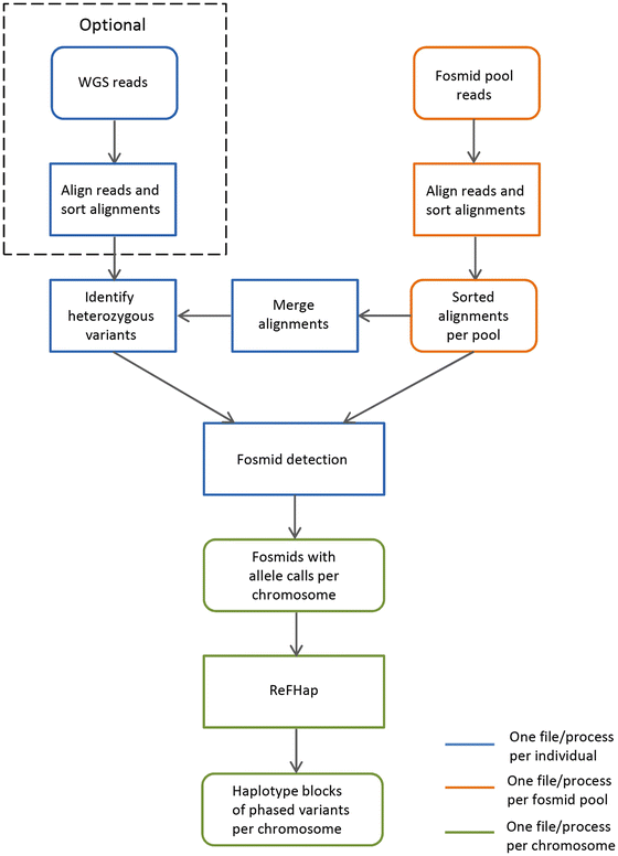 A Fosmid Pool Based Next Generation Sequencing Approach To Haplotype Resolve Whole Genomes Springerlink