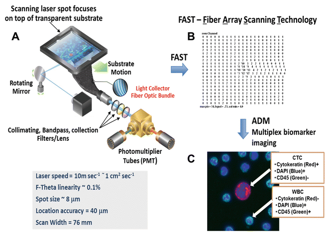 Fiber-Optic Array Scanning Technology (FAST) for Detection and ...