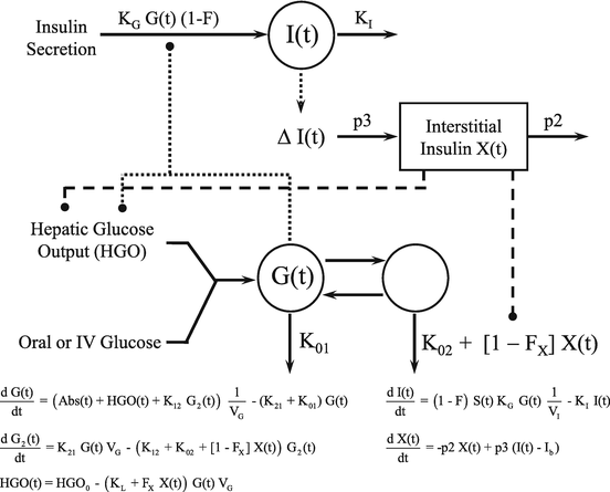 Physiologic Interpretation Of Gwas Signals For Type 2 Diabetes Springerlink