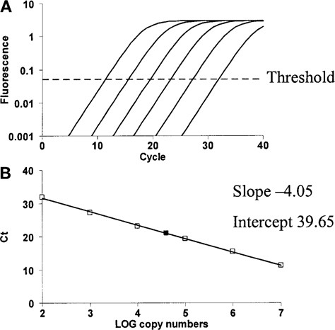Quantitative Polymerase Chain Reaction | SpringerLink