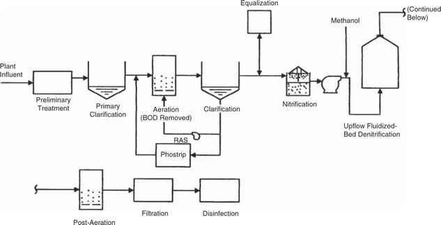 Emerging Attached Growth Biological Processes Springerlink