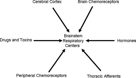 Diagnosis And Treatment Of Respiratory Alkalosis Springerlink