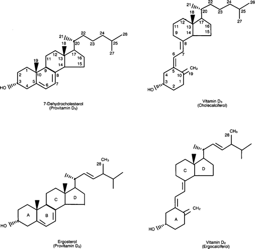 Photobiology Of Vitamin D Springerlink