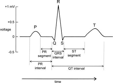 Basic ECG Theory, 12-Lead Recordings and Their Interpretation ...