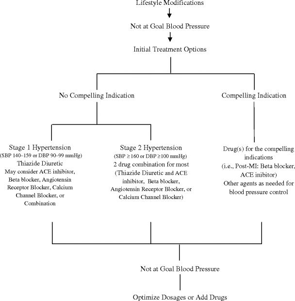 Pharmacotherapy For Cardiac Diseases Springerlink