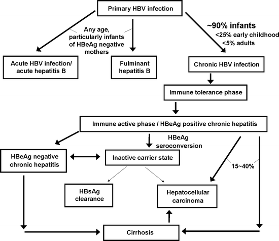 Epidemiology And Natural History Of Hepatitis B In Children | SpringerLink