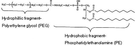 Polymeric Micelles Polyethylene Glycol Phosphatidylethanolamine