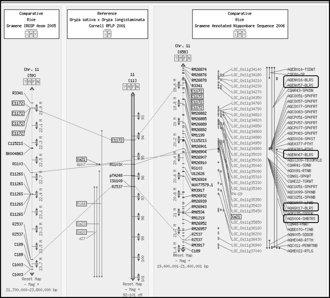 gramene database a hub for comparative plant genomics springerlink