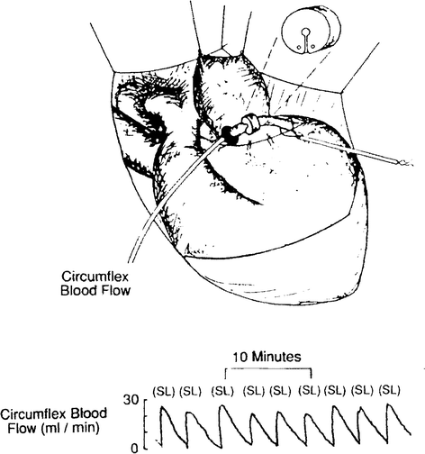 In Vivo Models For The Evaluation Of Antithrombotics And Thrombolytics Springerlink In Vivo Models For The Evaluation Of Antithrombotics And Thrombolytics Springerlink