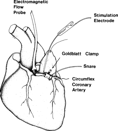 In Vivo Models For The Evaluation Of Antithrombotics And Thrombolytics Springerlink In Vivo Models For The Evaluation Of Antithrombotics And Thrombolytics Springerlink