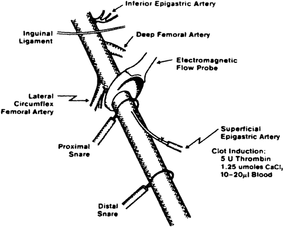 In Vivo Models For The Evaluation Of Antithrombotics And Thrombolytics Springerlink In Vivo Models For The Evaluation Of Antithrombotics And Thrombolytics Springerlink