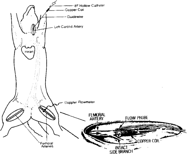 In Vivo Models For The Evaluation Of Antithrombotics And Thrombolytics Springerlink In Vivo Models For The Evaluation Of Antithrombotics And Thrombolytics Springerlink
