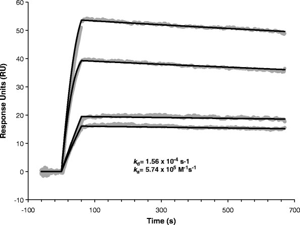 Measuring Antibodyantigen Binding Kinetics Using Surface Plasmon Resonance Springerlink 1534