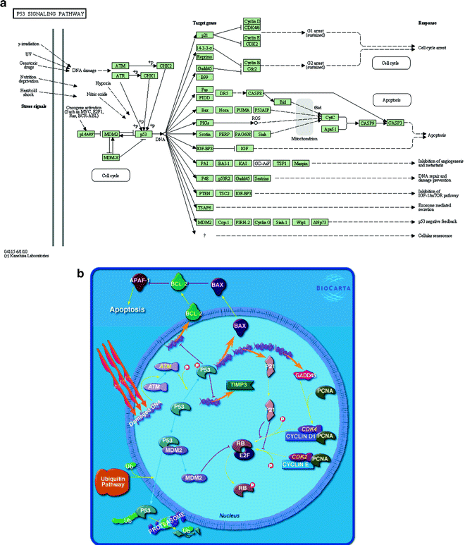 Gene Set/Pathway Enrichment Analysis SpringerLink