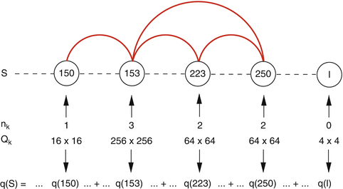 Phylogeny And Evolution Of Rna Structure Springerlink