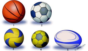 Ball Sports Springerlink