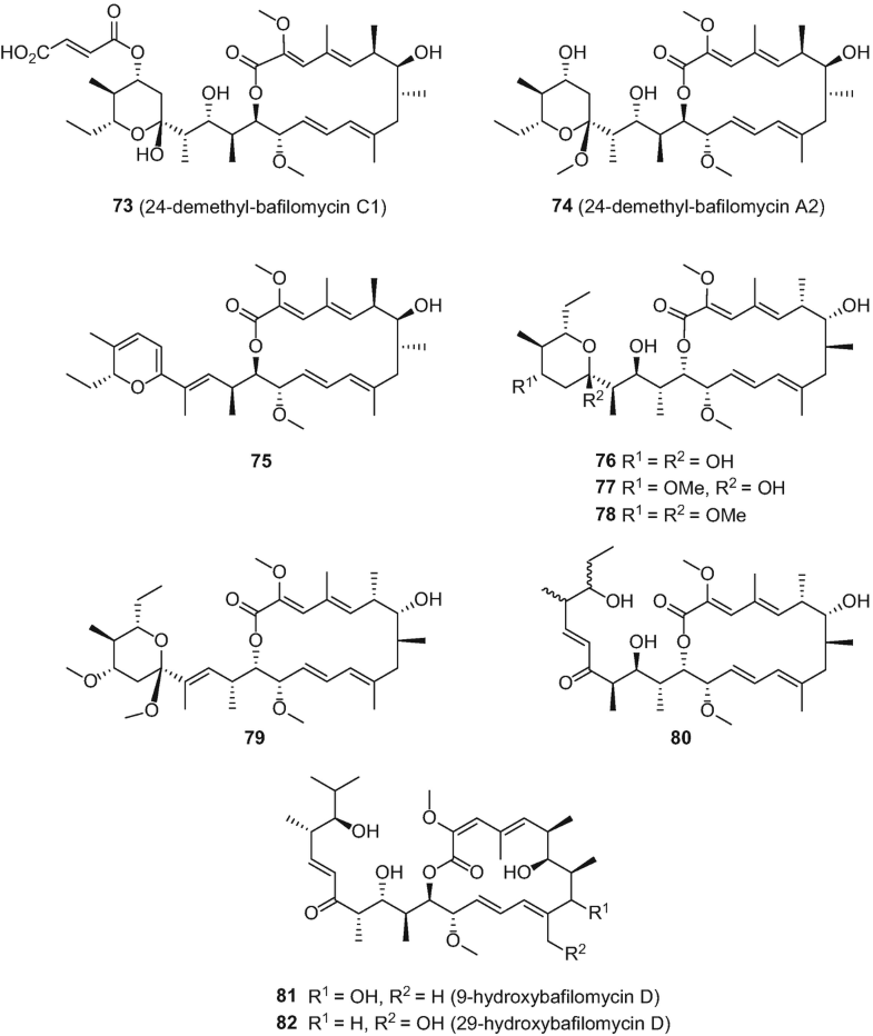Secondary Metabolites Of Endophytic Actinomycetes Isolation Images, Photos, Reviews