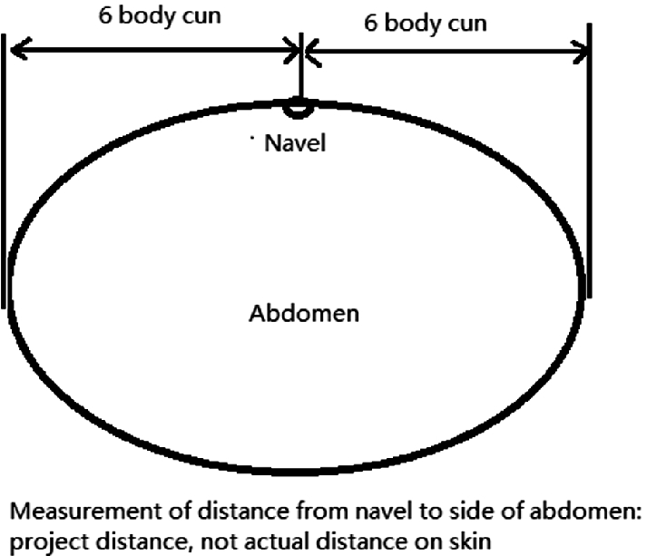 Acupuncture Styles In Current Practice Springerlink