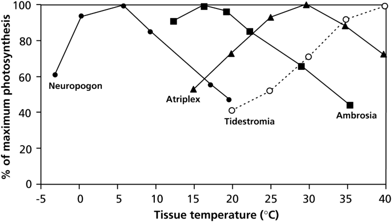 Photosynthesis Respiration And Long Distance Transport
