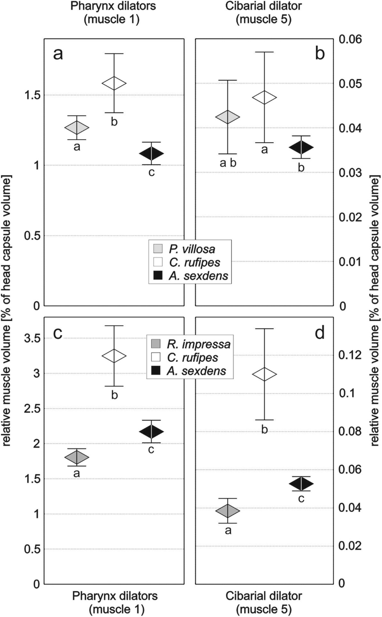 Comparative Functional Morphology Of Ant Mouthparts And Significance For Liquid Food Intake Springerlink