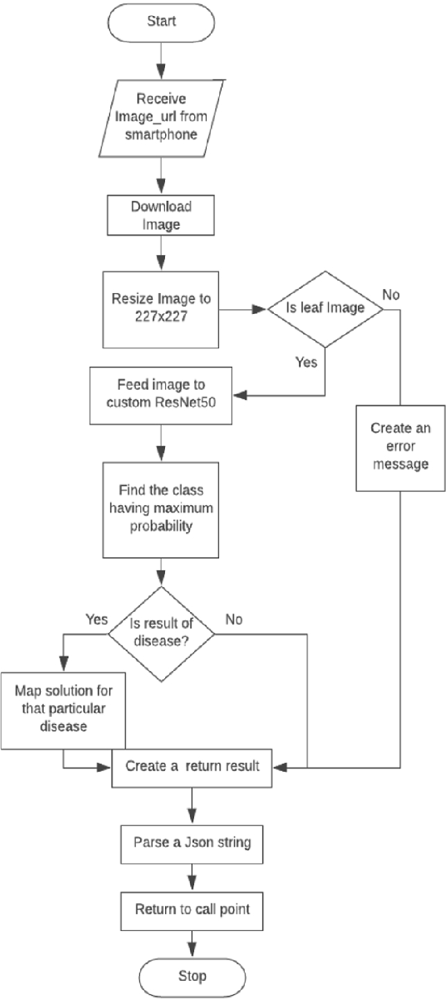 plant disease identification using machine learning