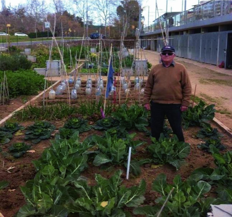 Urban Agriculture More Than Food Production Springerlink