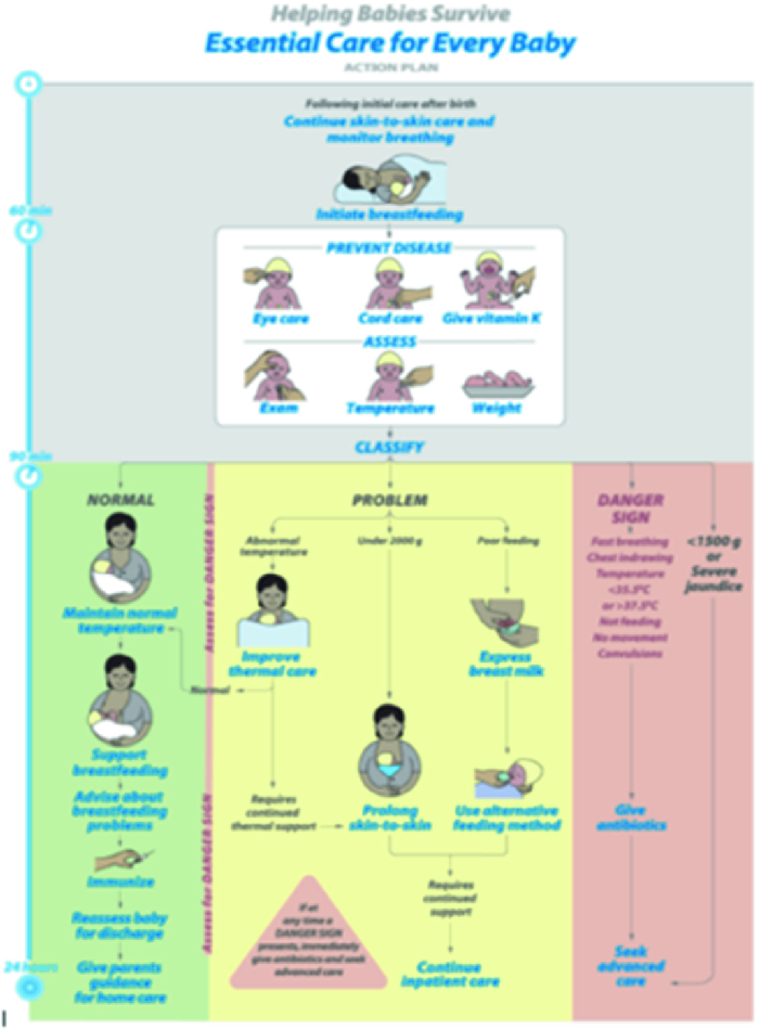 essential care of newborn