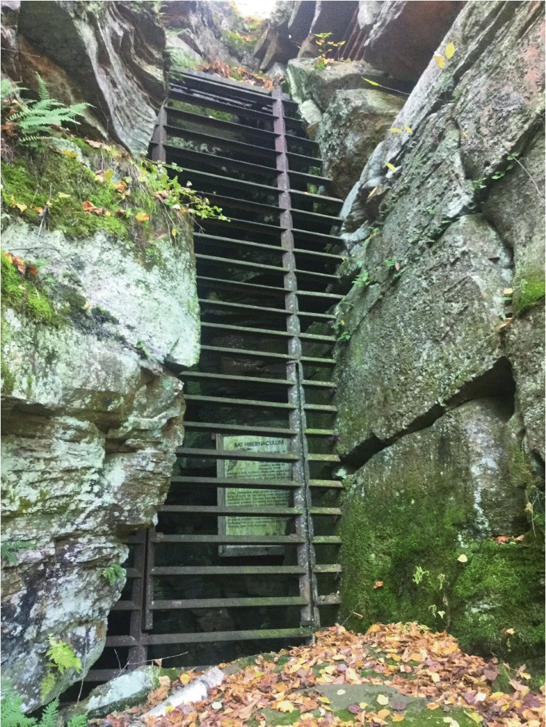 haynes stone deep river ct on Minnesota Caves And Karst Springerlink