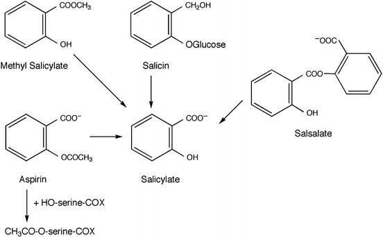 Aspirin salicylates pharmacology