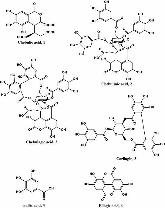 Terminalia Chebula Retz 诃子 Hezi Chebulic Myrobalan