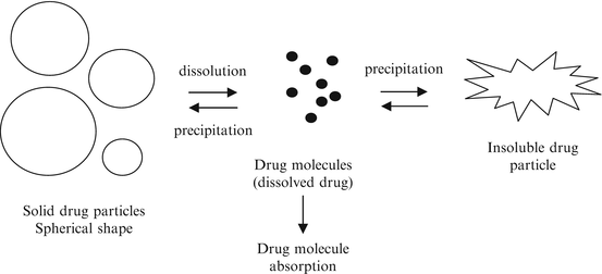 The Role Of Particle Size In Drug Release And Absorption Springerlink