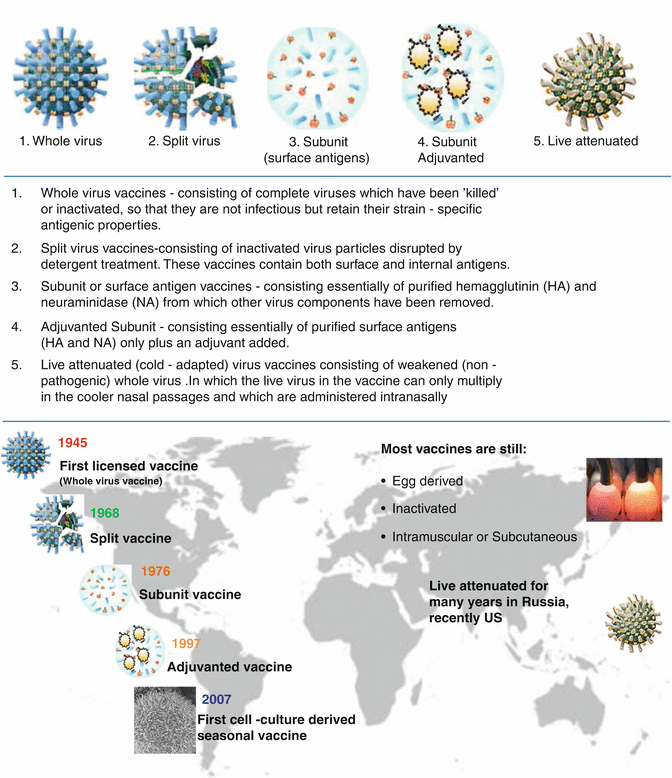 Influenza Cell-Culture Vaccine Production | SpringerLink