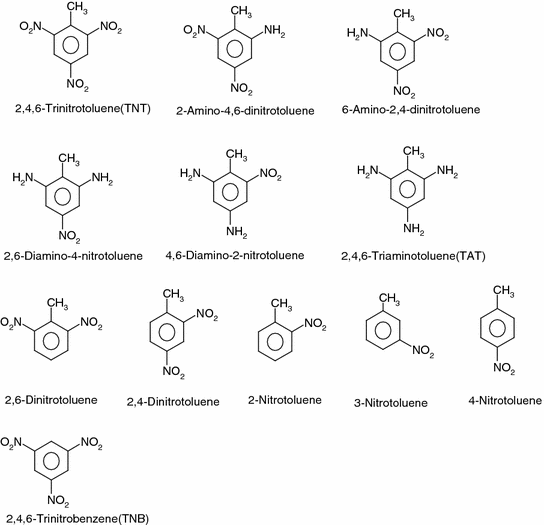 Bioremediation Of 2 4 6 Trinitrotoluene Explosive Residues Springerlink