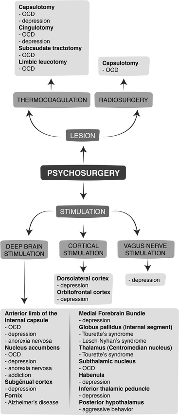 Psychosurgical Procedures Springerlink Psychosurgical Procedures Springerlink