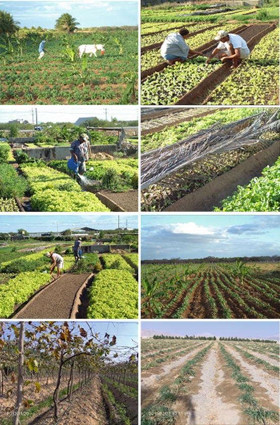 Soil Quality And Plant Nutrition Springerlink - 