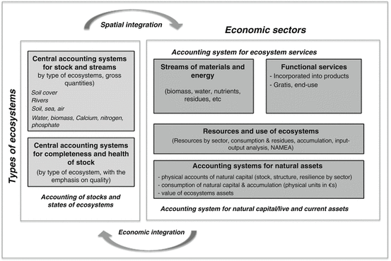 Ecosystem Services Of Multispecific And Multistratified Cropping Systems Springerlink
