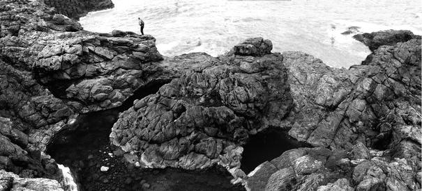 Signatures Of Tsunami In The Coastal Landscape Springerlink