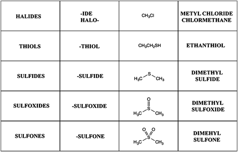 Functional Groups Springerlink
