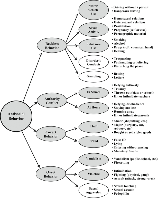 32 Developmental Criminology Thoughts On The Past And Insights For The Future Springerlink 32 Developmental Criminology Thoughts On The Past And Insights For The Future Springerlink