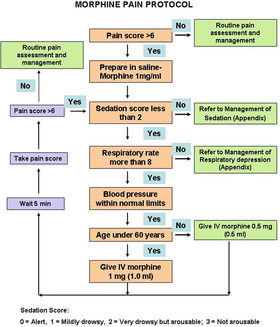 Drugs for the Management of Pain SpringerLink
